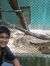 Gautam ...