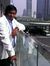 Avinash...