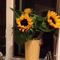 Stephanie Spitznagel