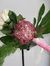 Florist...