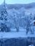 Arctic ...
