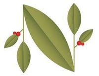 المخرج محمد