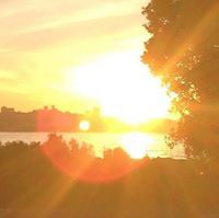 صهيب الوازني