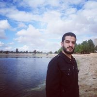 Waseem Alsayed