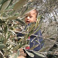 بلال الشايب