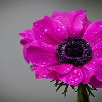 غريبة غريبة