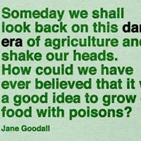 பாலசுப்ரமணியன் அண்ணாமலை