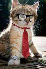 Мя-цйҝйощи Ѕмөҝєя