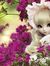 Tanya M...