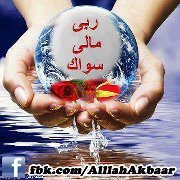 Mohammed Omer