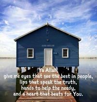 وردة الشوكة