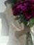Dalia B...