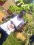 Musoke ...