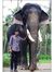 Nishad ...