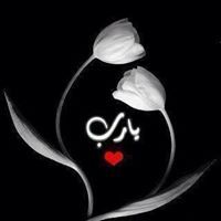 زهره الياسمين