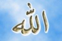 إسراء محمود