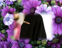 روضة الهادى نبينا