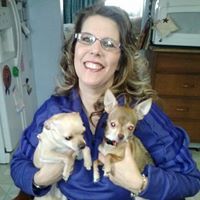 cwesterbuhryahoo.com