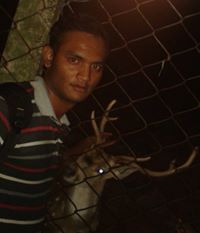 Dinesh Nerusupalli