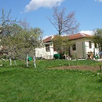 Никола Кръстев