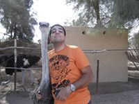 Mohammed Attia