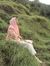 Shahzee...