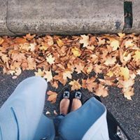 دينو آلحارثي