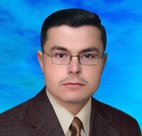 محمود نور الدين