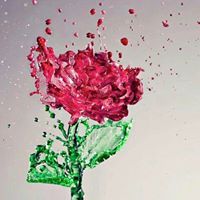 رحمة النتشة