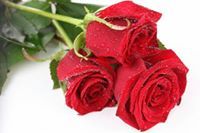 অজানা ছেলে