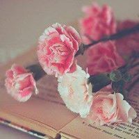 Taghreed Abu ghazaleh