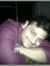 Swapnil...