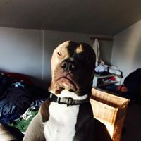 Isaac Rutledge-wilson