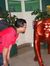 Angga S...