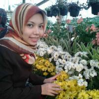 Alvi Sriwida