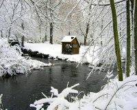 Абдельнасир Абдельрахман