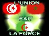 أنس الشهبوني محمد