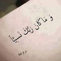 راكن البطريق