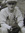 William Victor Delaney (wdelaneyakadyanquinn) | 1 comments