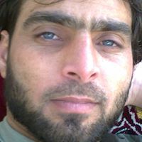 محمد السليمان