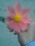 Amrit S...