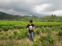 Oii Indra