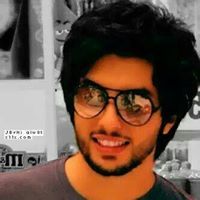 الشبح المصرى