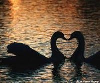 عبدالعزيز مثنى