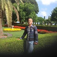 فايز الصقور