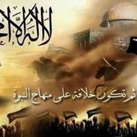 محمد صلاح الدين