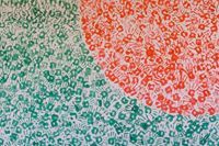 সামিউল অভি