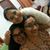 Ankita Chandran-dave