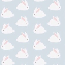 الفراولة الصغيرة