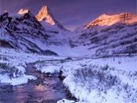 علاء الناصري